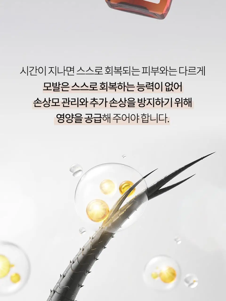 [NEW/퍼퓸오일] 라입 R3 아르간 헤어 오일 100ml 5종 상세페이지 15